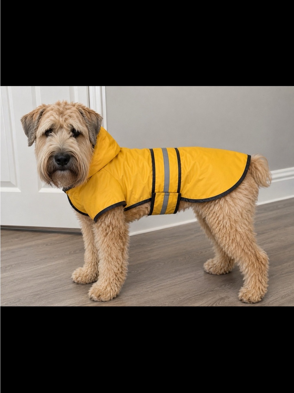 Dog Raincoat Yellow Hooded Reflective Waterproof Pet Jacket Size Large Fashion